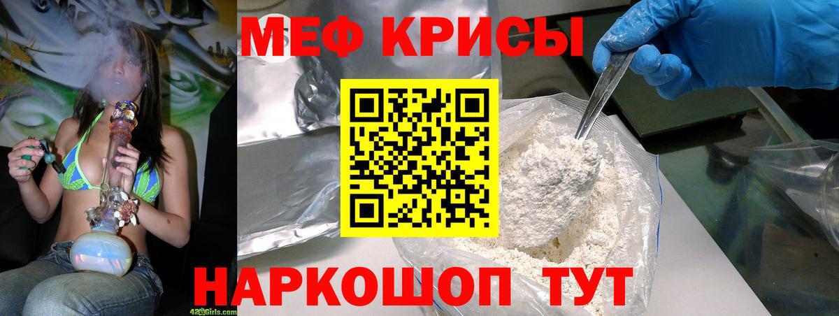 МЕФ  Новозыбков
