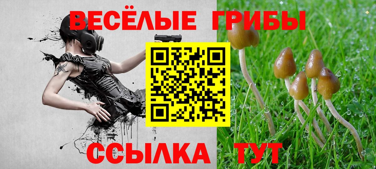 Новозыбков  Галлюциногенные грибы мицелий  Вход с VPN 